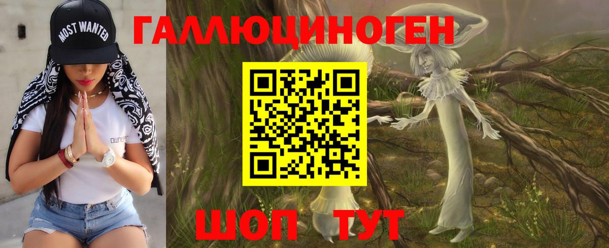 Псилоцибиновые грибы MAGIC MUSHROOMS Грозный